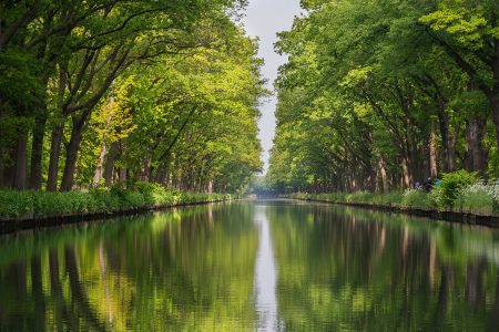 Visiter le Canal du Midi en van : un voyage au cœur de la France